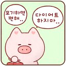 이것이코다리다 네이버블로그
