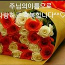 신두리 이미지