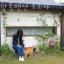 경주한옥펜션 소소가 이미지