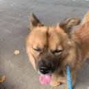 메이의산책 이미지