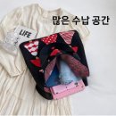 니트나무