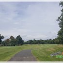 피닉스클럽 이미지