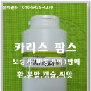 카리스팜스