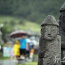 단단한 돌에 빗물이 스며드는 속도로 걸었다 / 지연 이미지