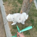 CU순천오천점 | 5-6월일기: 먹기 위해 삽니다