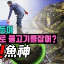 고기의달인