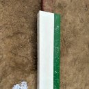 구미초등학교 이미지