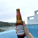 48시간 풀빌라 이미지