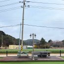 골드애견 | 안면도 애견펜션 ‘더 스테이 골드독‘ | 금액 등 이용후기