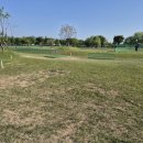 신도안면 파크골프장 이미지