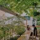 어반플랜트