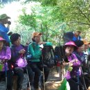 함안초등학교 이미지