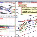 [ 대장주, 주도주, 테마주, 대박 아니면 쪽박, 그러나 한가한 말들만 한다. ] 이미지