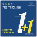 디옵터뮤지엄 이미지