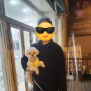 유니멍 강아지미용실 네이버블로그