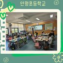 서울안평초등학교 이미지