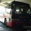 여주-0800 이미지