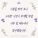 대명새벽시장