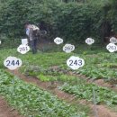 대원농장1 이미지