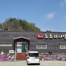도토리 서말 이미지
