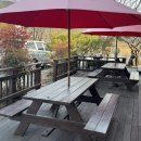 벚꽃나들버섯집 | [공지] 무꼬보자: 대구 송해공원 맛집 | 벚꽃나들버섯집 | 버섯전골로 몸보신