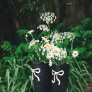 레인코어 이미지