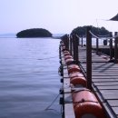 꽃지사랑 이미지