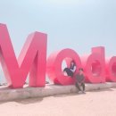 배미꾸미민박 이미지