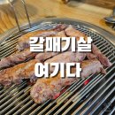 서대포 소금구이 | 대구 복현동 서대포소금구이 복현오거리점 갈매기살 소금구이 후기 | 복현오거리 맛집 추천