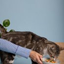 새로이동물병원 이미지