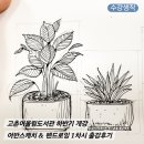 슥삭슥삭 감성 펜 드로잉 | 부산 기장 고촌어울림도서관 하반기 어반스케치 정규반 개강! 첫 수업날 출강 후기 (펜드로잉 화분 그리기)