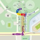 [후기] 서울국제마라톤 & 동아마라톤 서울챌린지 10K