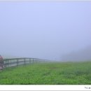 새벽목장 이미지