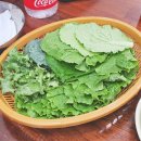 송정1호 이미지