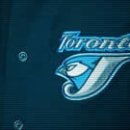 Toronto Blue Jays - 토마토 이미지