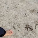 구공설운동장 네이버블로그