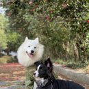 죽도봉 주차장 내 이미지