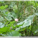 토요미술교실 이미지