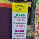 갤러웨이스크린골프