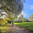 백마흔두번째 2026년 6월 7일 : Western Park-Nixon Park-Oakley Creek Path 이미지