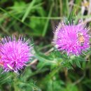 오름이야기 이미지