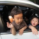 포레스트 12 자연휴양림 이미지