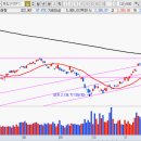 피앤씨코리아 이미지