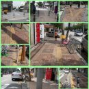 던킨 도넛 횡단보도 이미지