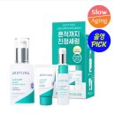 올리브데이 이미지