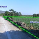 신양공인중개사사무소 이미지