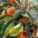 각남면사무소 이미지