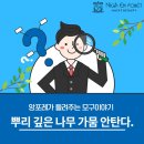 앙포레모리노헤어 네이버블로그