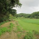 범세동 선생묘 이미지