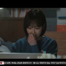 스테디독 이미지